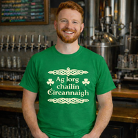 Load image into Gallery viewer, Ag lorg Éireannaigh Unisex T-Shirt